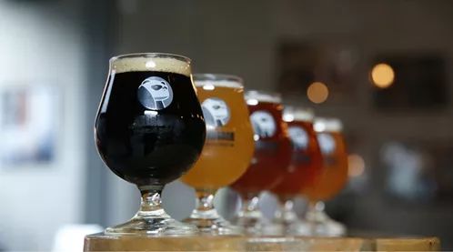 知食分子餐饮,知食分子啤酒怎么样