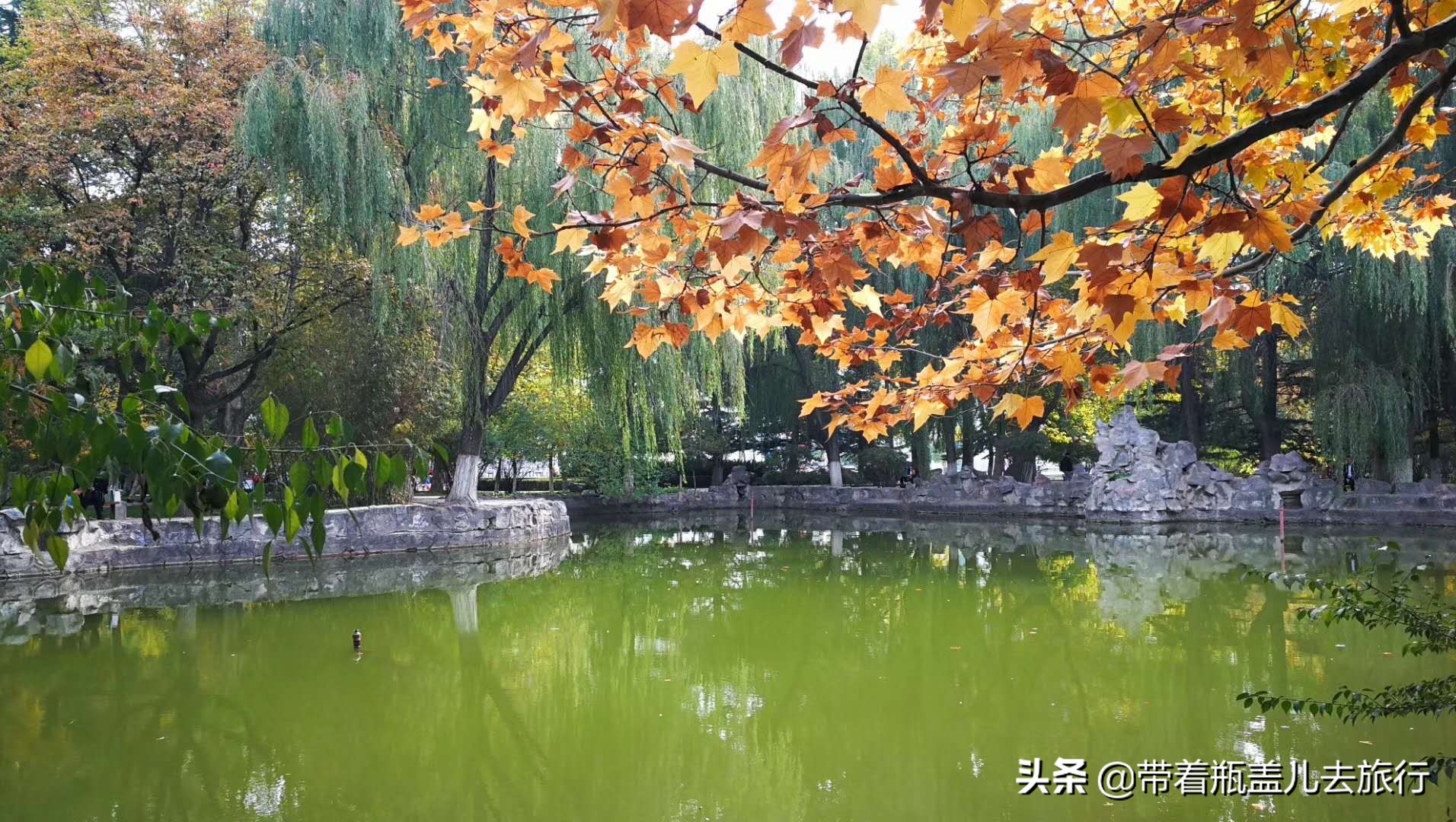 兰州大学校园游,兰州旅游攻略兰州大学