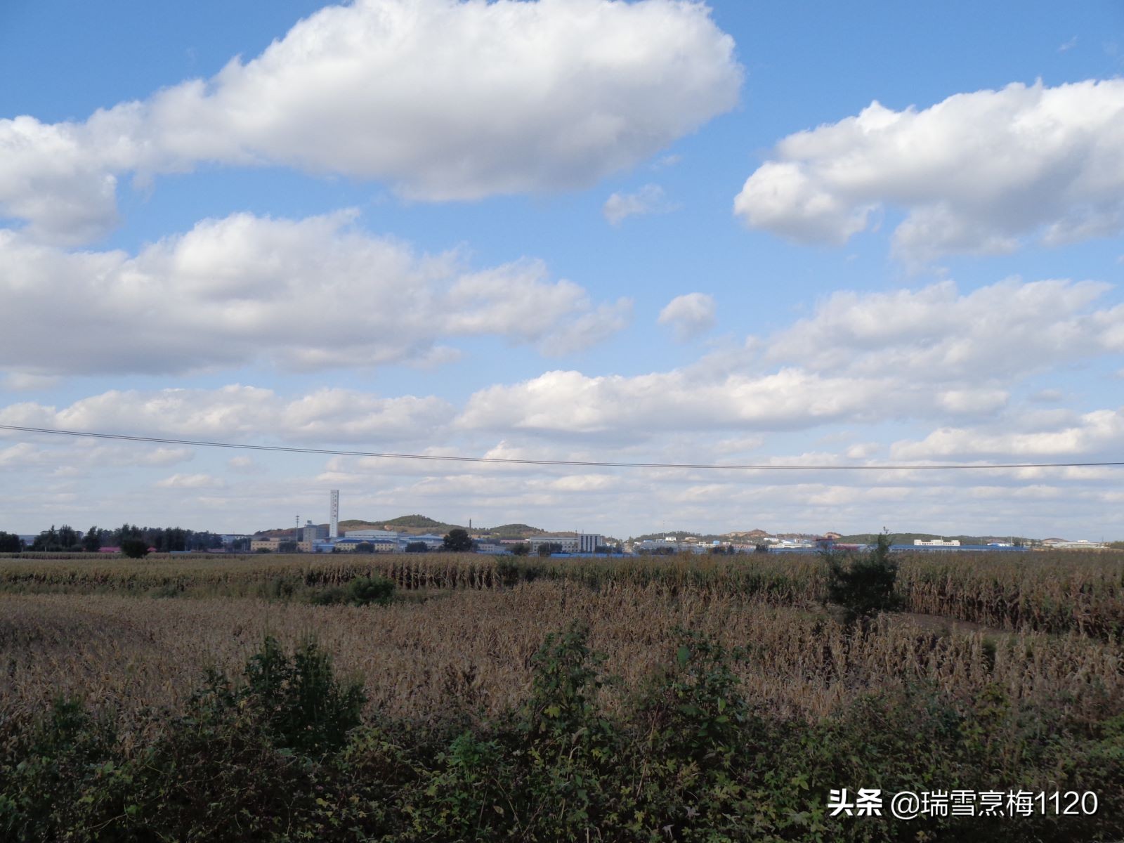 沈北新区依路村,沈北新区马刚乡地图