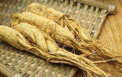 人参怎样挑选才正宗的,鲜人参怎么挑选才是好人参图片