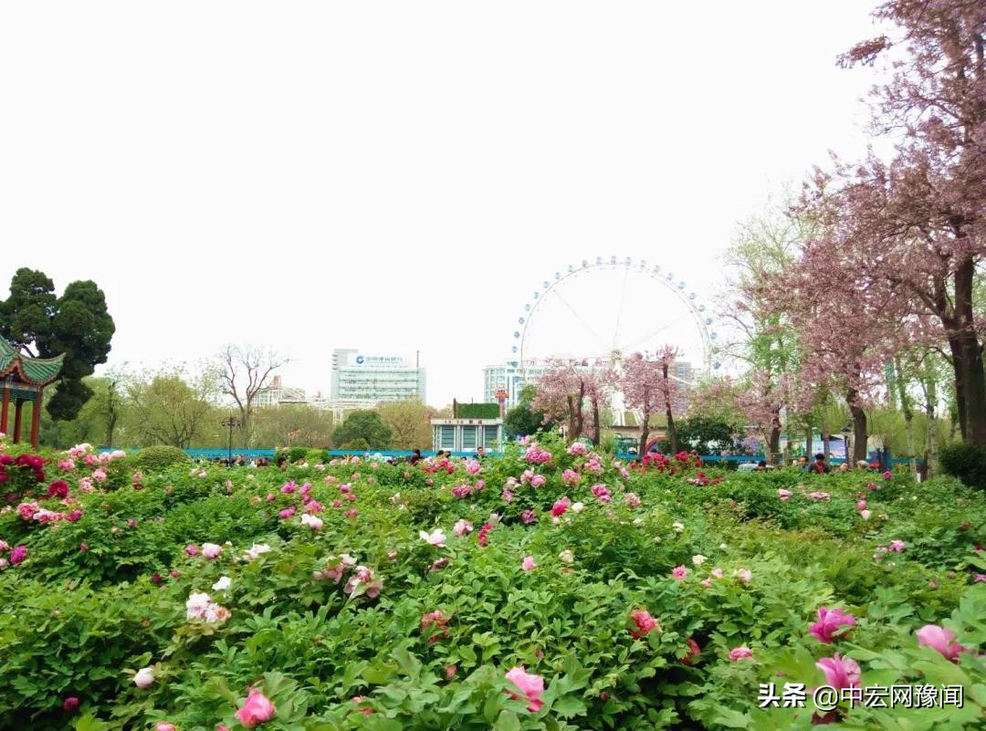 郑州公共健身器材公园,郑州公共场所免费景点