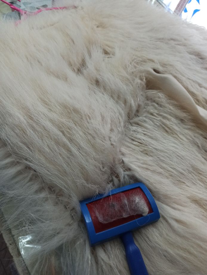 干洗皮草教程怎么洗的,干洗店都是怎么洗皮草