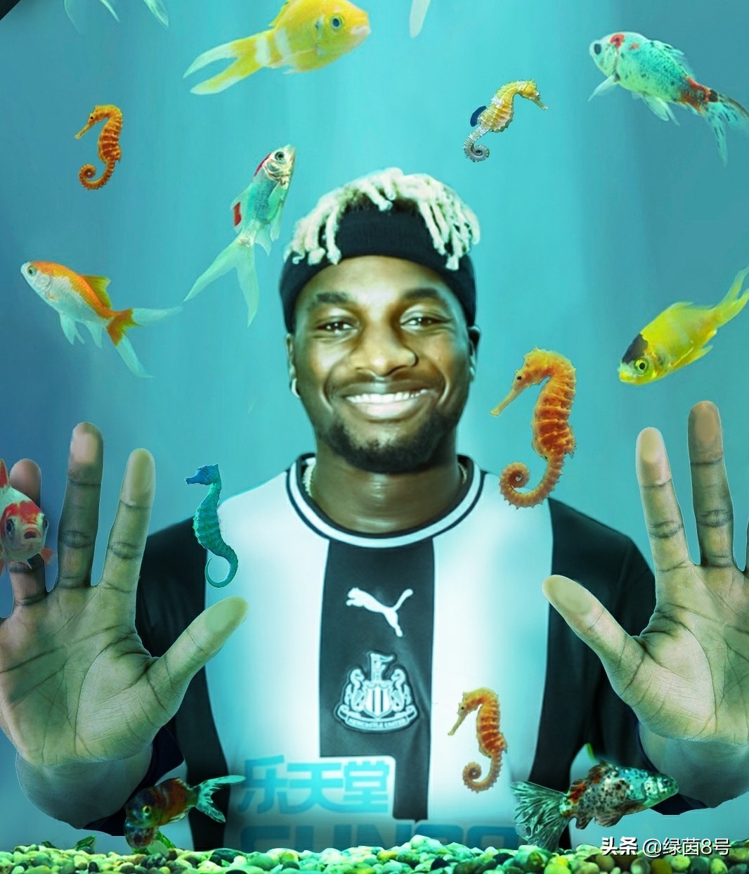 英超球队标志都是什么,英超热刺标志