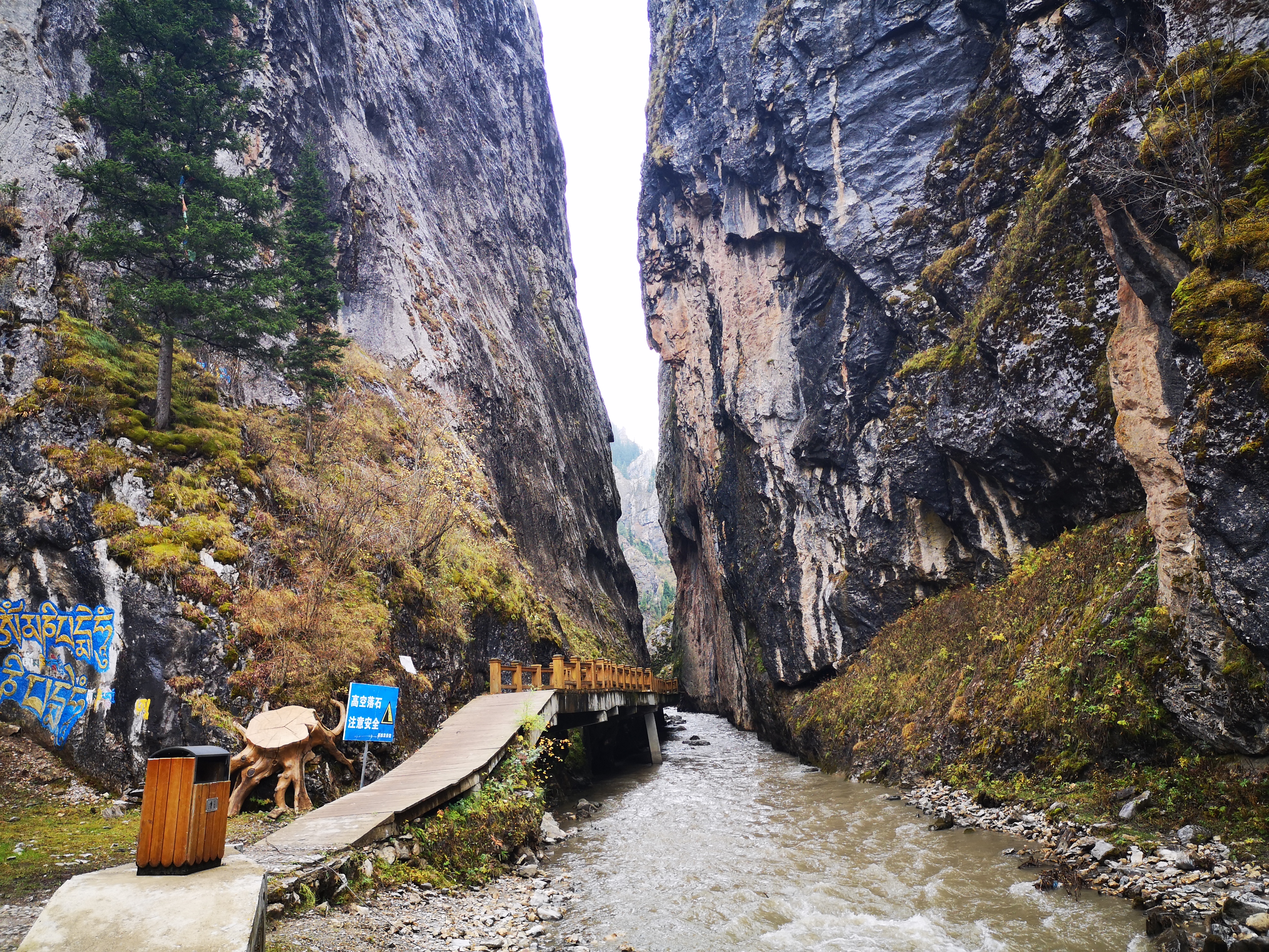 则岔石林游记,尕海湖和则岔石林