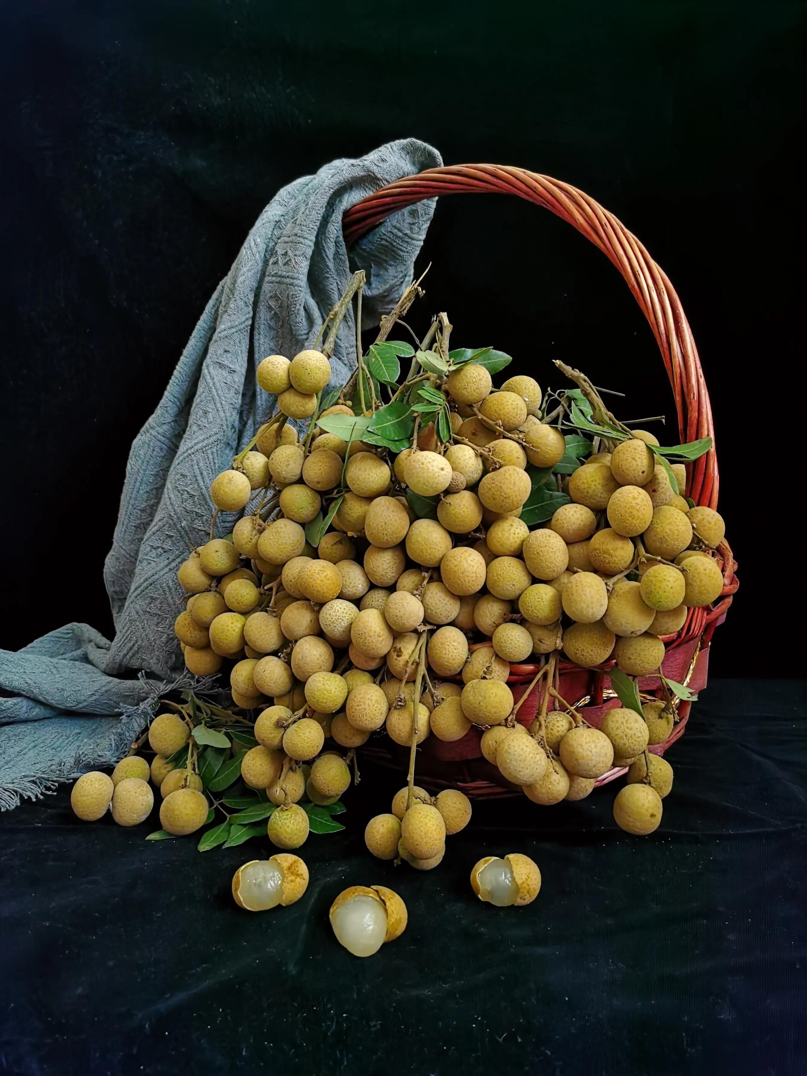 手机摄影手册圈友作品选第5期,手拍世界摄影交流平台