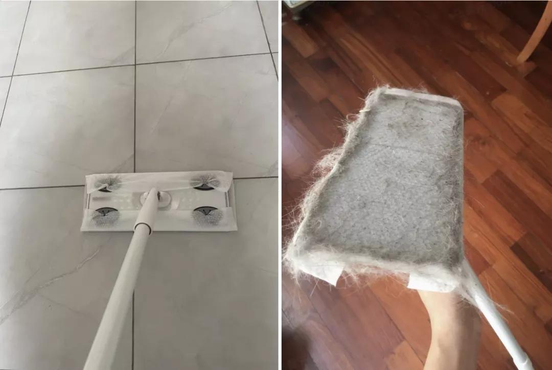 有宠一族必看：啥家庭条件呀，好几万的沙发随便毁？