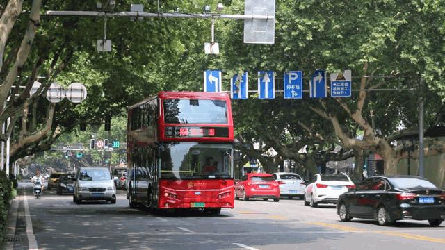 南京旅游必去十处,南京旅游十大必去免费景点排名