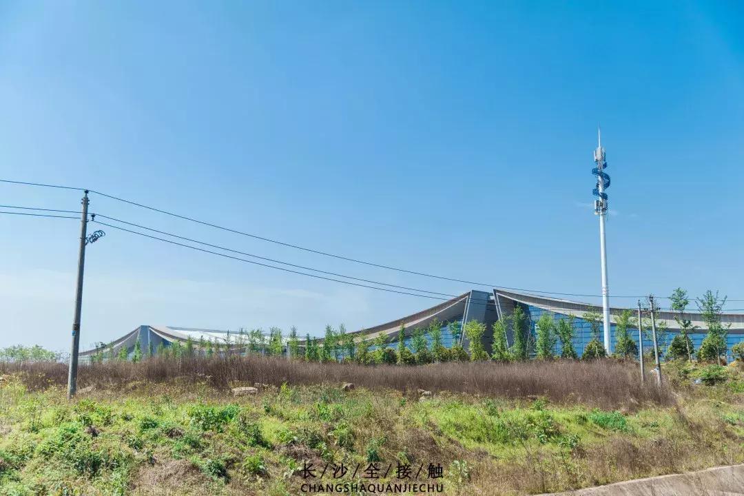 交院武广校区,交院在哪边