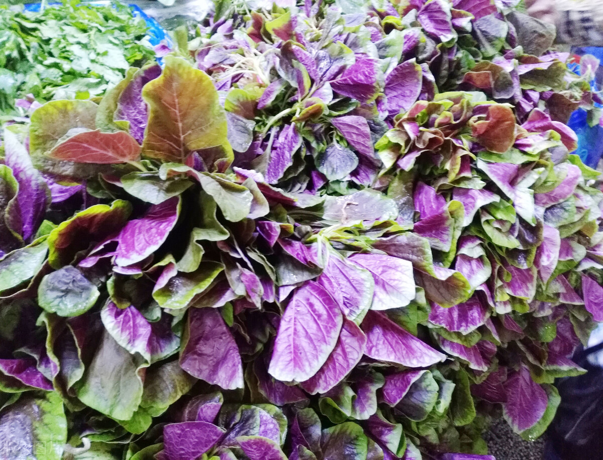 衣服染上菜叶色怎么洗掉,衣服上的苋菜汁怎么去除