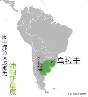 乌拉圭和阿根廷语言互通吗,乌拉圭和巴拉圭语言互通吗