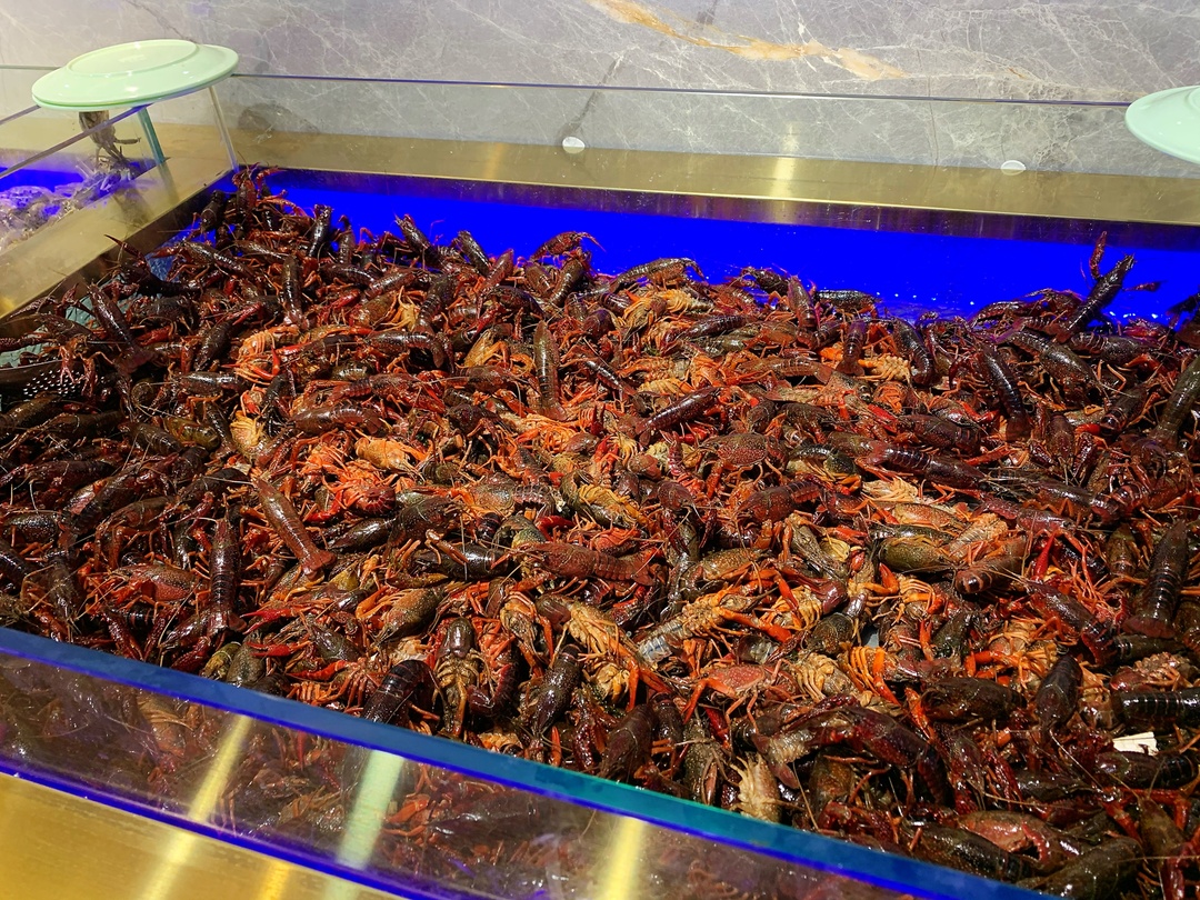 长春中东七彩城实体店,长春七彩城烤肉店