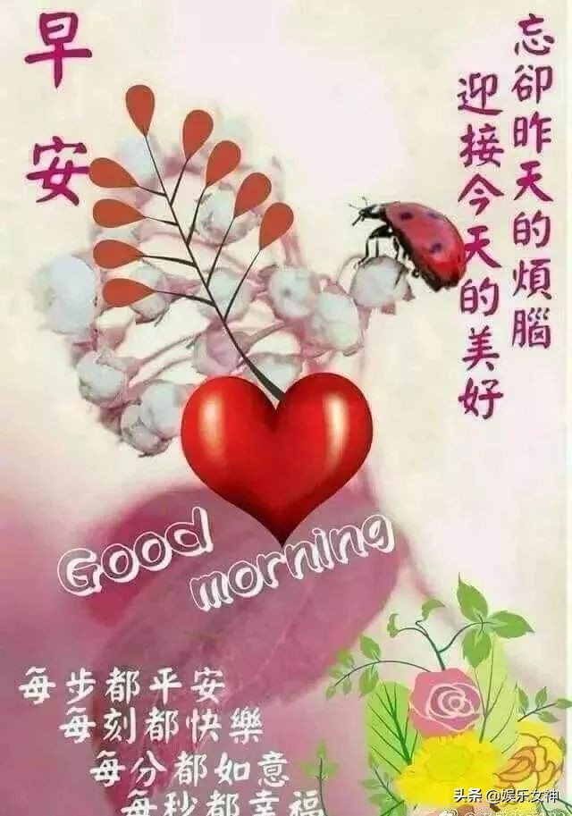 早晨好问候语图片表情,疫情寒冬早上好问候语句