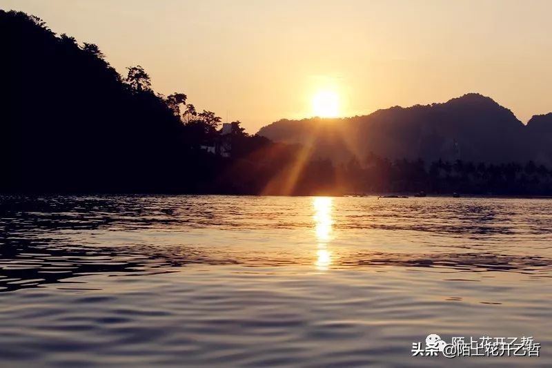 保险这条取经路，成就了多少铿锵玫瑰？