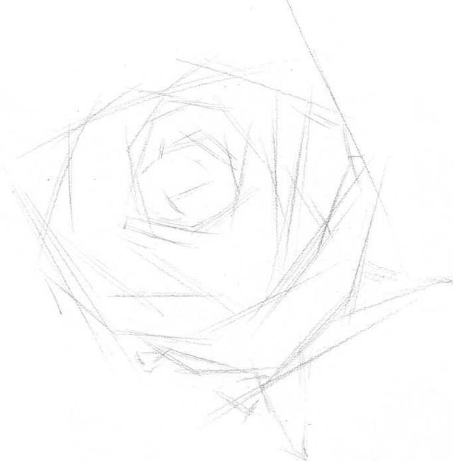 素描零基础入门教程水果,素描入门零基础教程玫瑰花