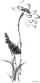 娌夐璇惧爞鐩存挱,娌夐璇惧爞娴峰崡