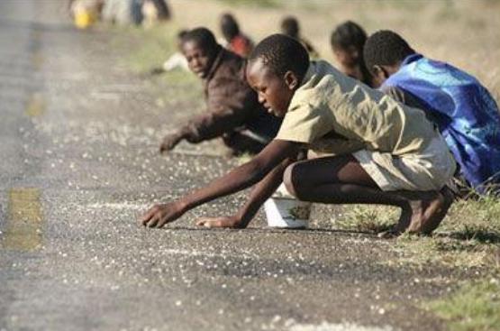 一个家家都是“亿元户”的非洲穷国——津巴布韦