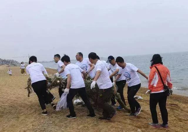 废弃渔网,废弃的渔网视频大全