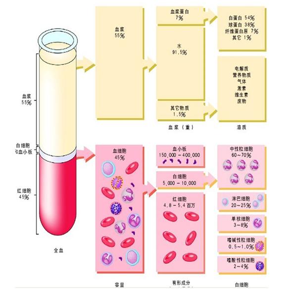 源于人血的“救命药”行业，了解下？
