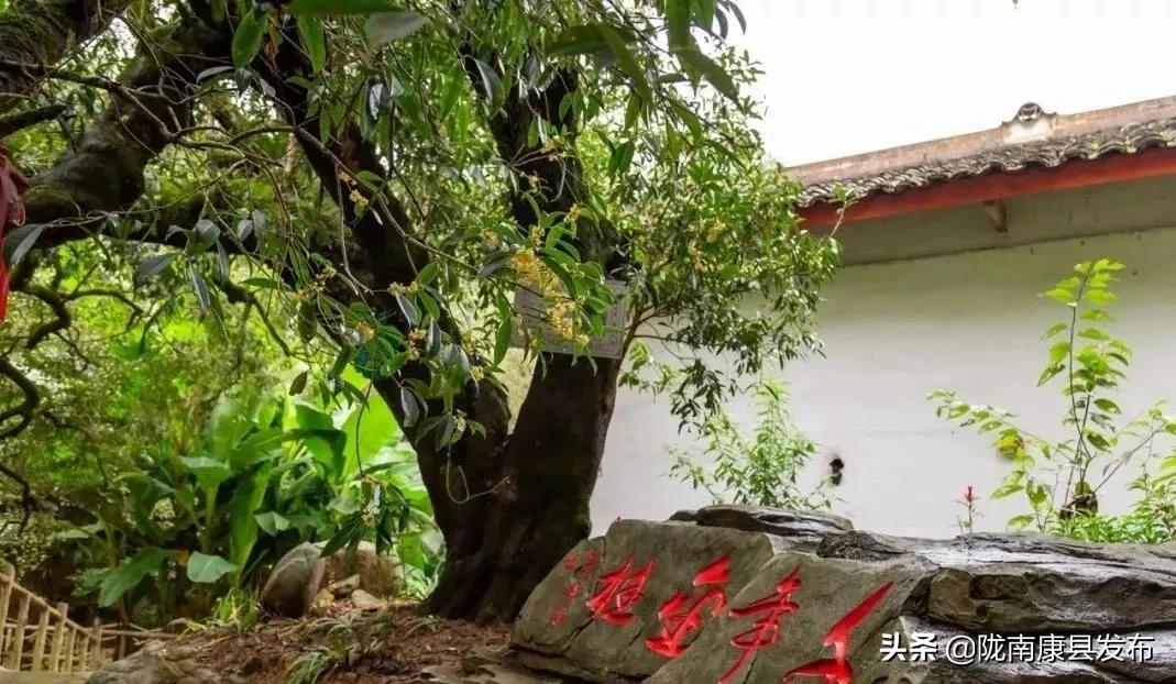 康县美丽乡村文化元素,康县美丽乡村建设