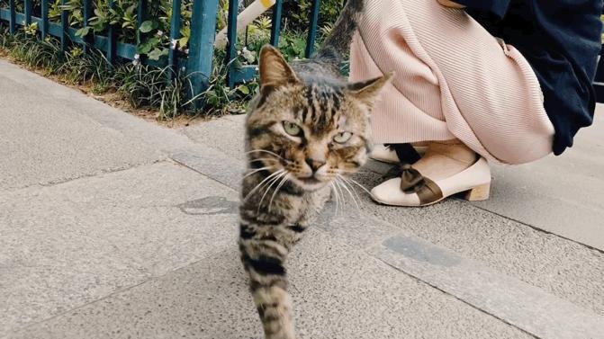 我的旅游拍摄vlog设备踩坑经验手记，平民向