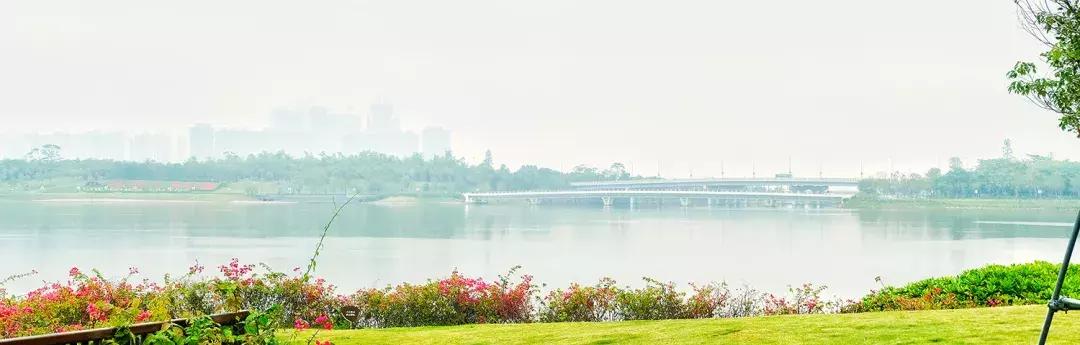 这里是前海完整视频,这里是北京粤语