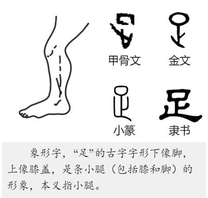 三年级语文上册大青树课文,一年级上册语文园地三教学设计