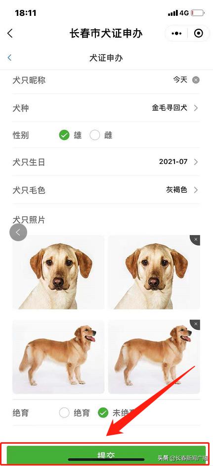 尽快办理！长春《养犬证》办理指南来啦