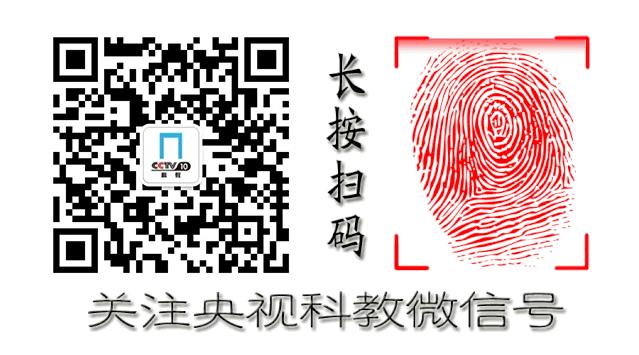 腰间盘突出怎么自我判定？怎么进行治疗？这篇文章告诉你