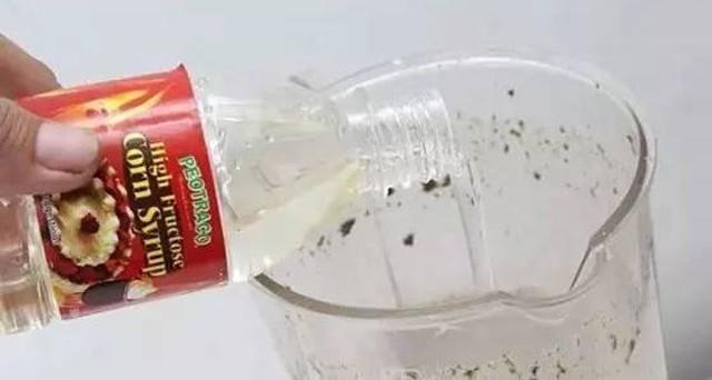 小苔藓最佳治疗方法,小型苔藓微景观怎么养