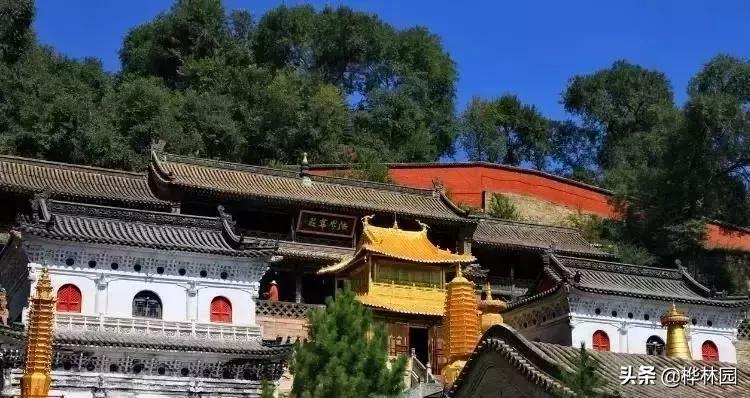 五台山什么寺院适合清静修行,五台山论禅详解