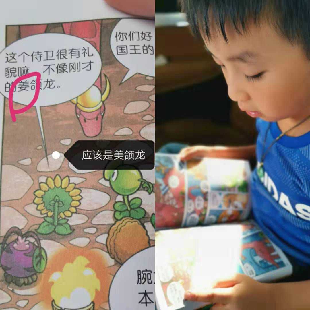 小学啄木鸟行动校外纠正错别字,啄木鸟找错别字实践活动