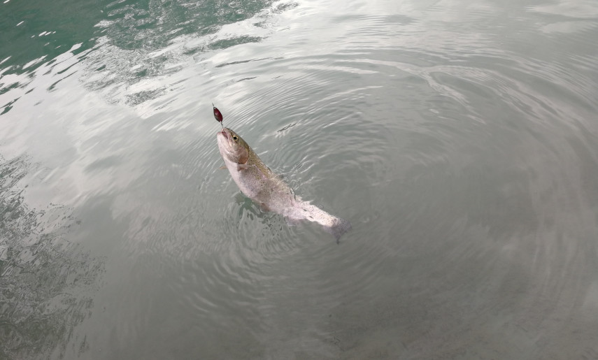 15天8000里,我们刚去名古屋和日本人抢了个五一假期