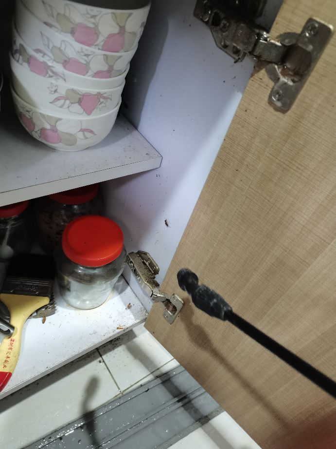 深圳福田灭虫除蟑螂机构推荐,深圳专业上门除虫灭鼠除蟑螂