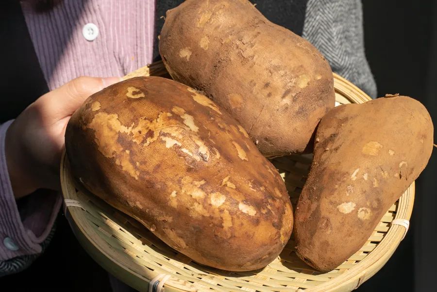 各种新奇水果,20种你没见过的水果