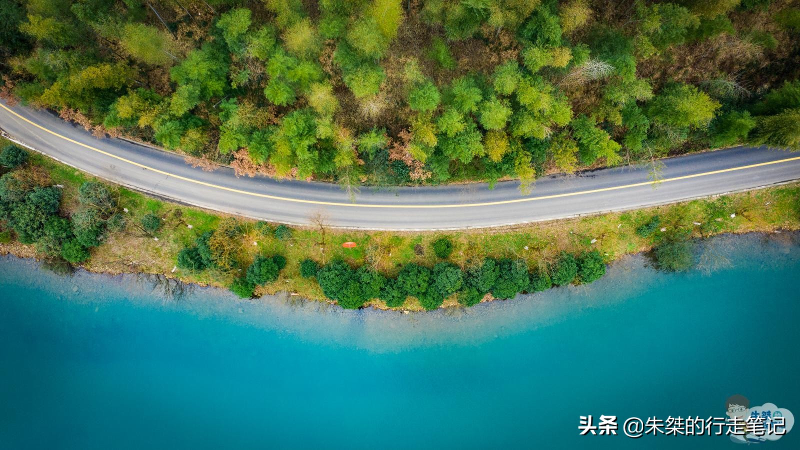 最美竹海在哪里,中国最美竹海风景区