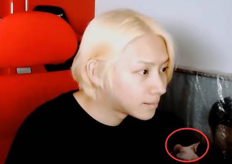 中国毒唯在韩网风评太差，前有EXO毒唯被嘲，后有SJ毒唯被提及