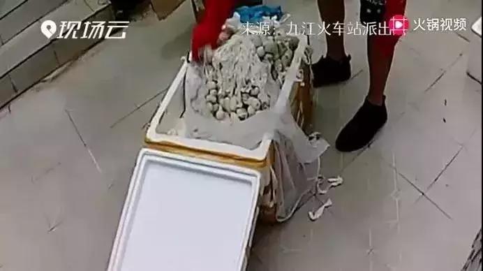 蛇出没高峰期广西,玉林一市民家里藏4条蛇