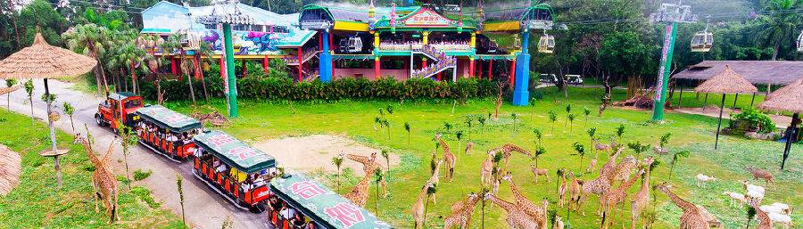 广州长隆野生动物世界的奇幻之旅,番禺长隆野生动物园1天旅游攻略