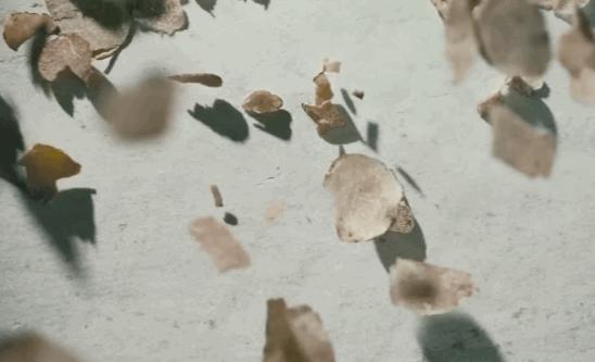 fresh限量款面膜,fresh白钻松露面膜