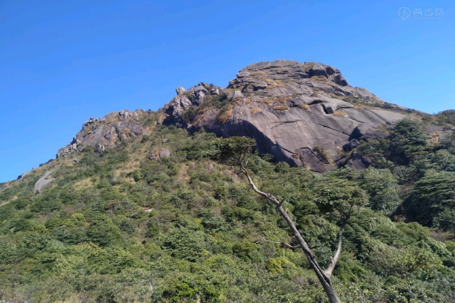 广东云髻山在哪里,新丰云髻山枫叶红了吗
