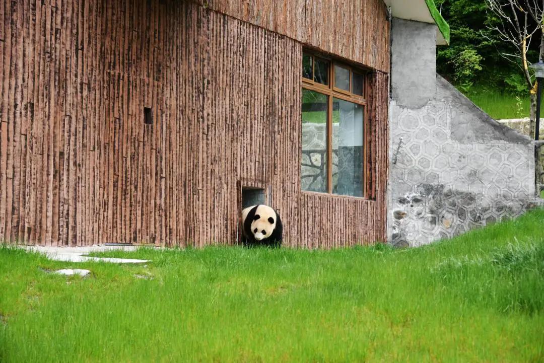 九寨沟路上招手,前方到站宁强