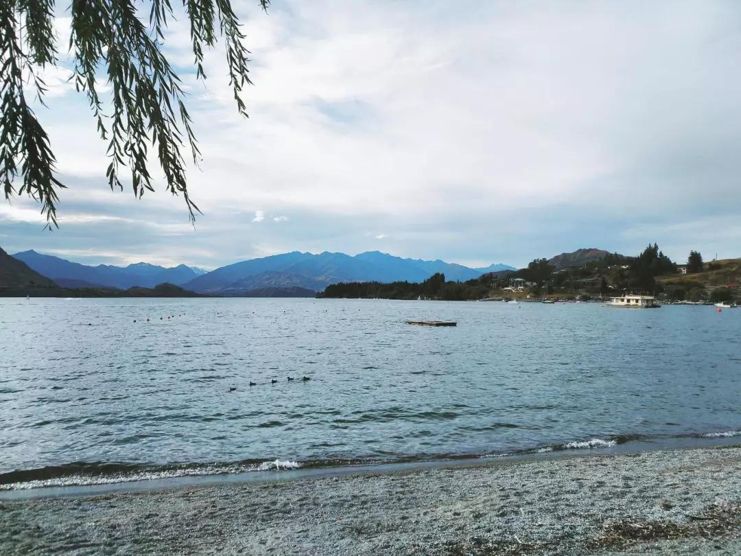 新西兰南太平洋明珠,新西兰太平洋的明珠