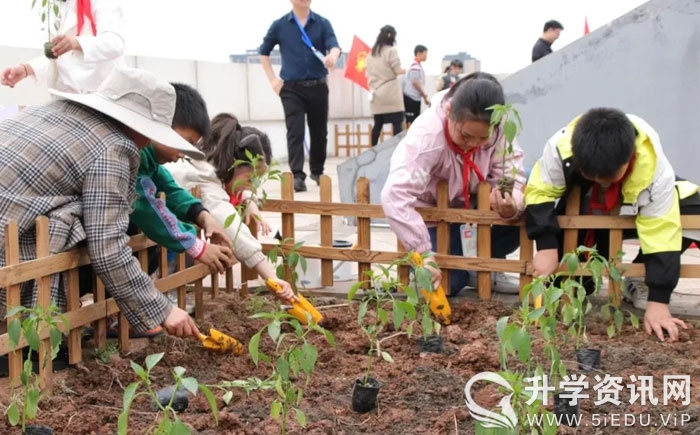小学心理健康教育教师招聘资料,成都市心理教师招聘