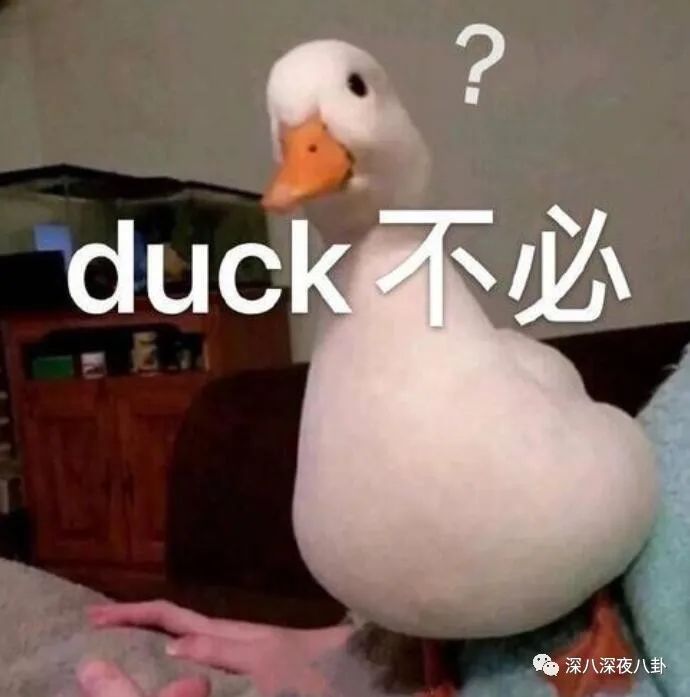 她们是精致的利己主义者吗？