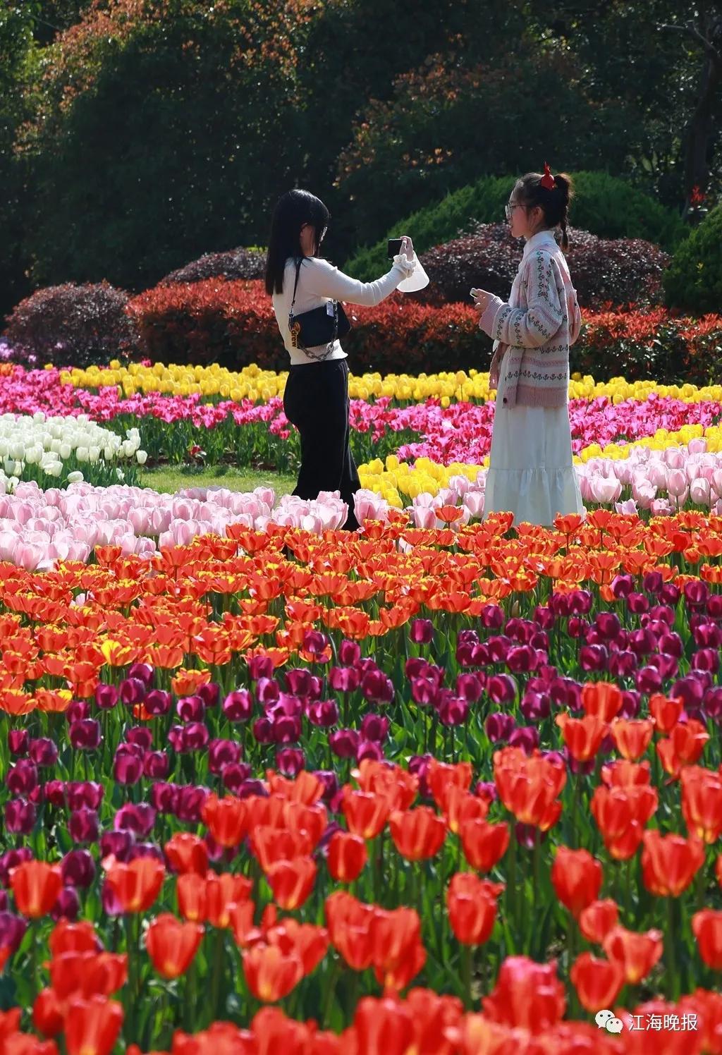 南通已经入春了吗,今年南通什么时候入春