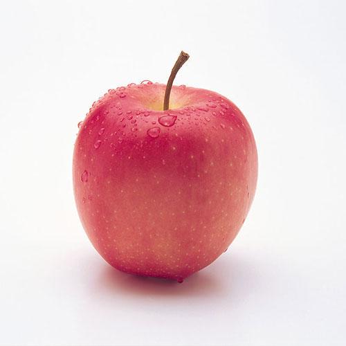 狗狗肚子硬硬的全身抖动,狗狗肚子硬硬的不拉屎