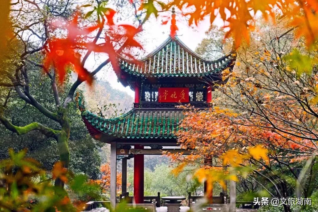 厉害了！湖南这两个城市将成为旅游中心城市