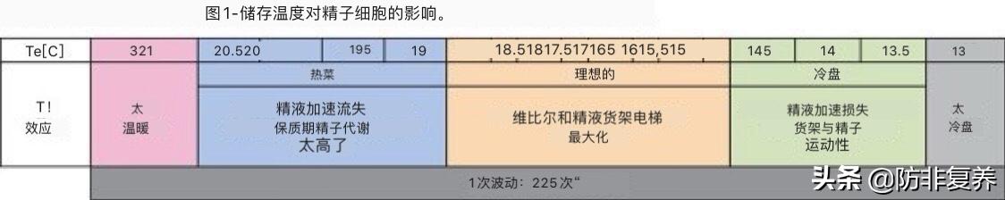 去国外精子库买精子流程,从外国寄来的东西看物流流程
