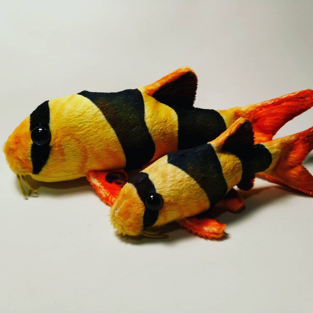 鼠年适合养鼠吗,鼠年养鼠好吗