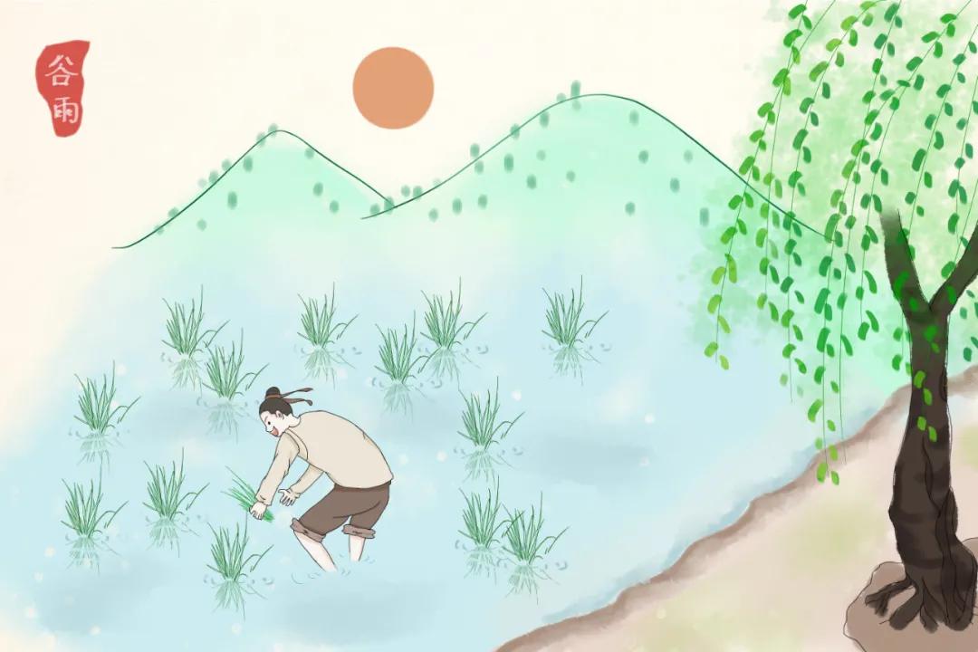 谷雨养生牢记健脾养肝的三个秘诀,春季养肝祛湿最佳方法图片